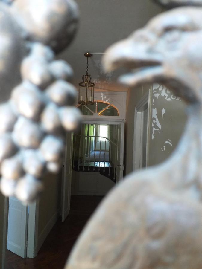 Le Jardin Secret Bed & Breakfast Saint-Antonin Ngoại thất bức ảnh